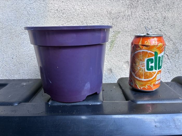 Plastic purple flower pot