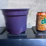 Plastic purple flower pot Image 2