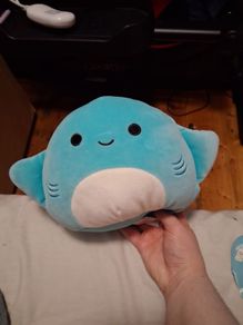 Maggie the Squishmallow