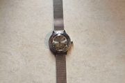 Vostok amphibia