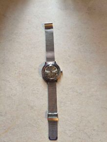 Vostok amphibia