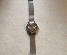 Vostok amphibia
