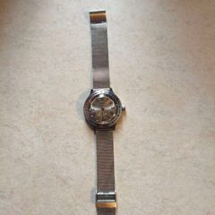 Vostok amphibia