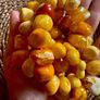 Natural Baltic Amber Necklace (22 Inches) Image 9