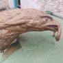 Heavy Brass Eagle Image 3