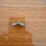 Omega Seamaster Professional 300 spare links Image 3