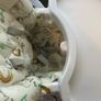 high chair Image 10