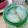 Italian Glass, storage jars, vintage glass jar Image 5