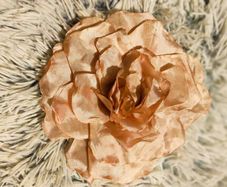 Peach Flower Hair Clip Soft, Romantic & Versatile