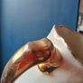 Staffordshire jug pitcher Image 6