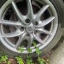 Alloys of cayenne 955 Image 4