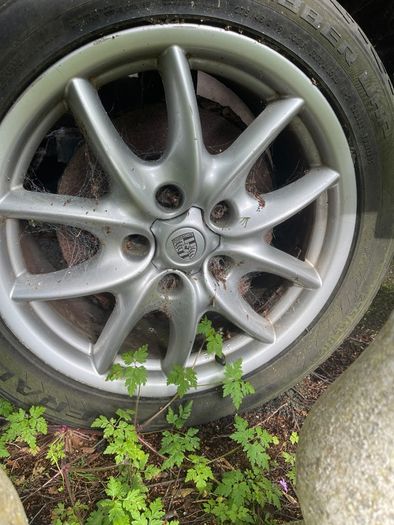 Alloys of cayenne 955
