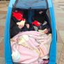 Double buggy Image 5