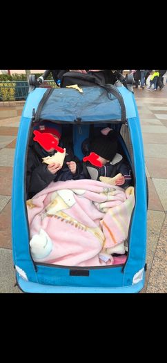 Double buggy