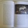 Ireland's Wild Countryside Eamon de Buitlear Hardback 1995 Very Good Condition Image 6