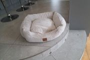 small dog bed