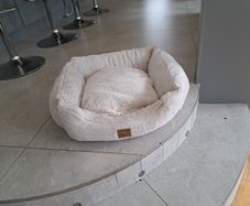small dog bed