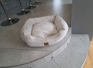 small dog bed
