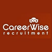 Careerwise Jobs in Ireland