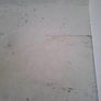 40FT Container To Rent Image 6