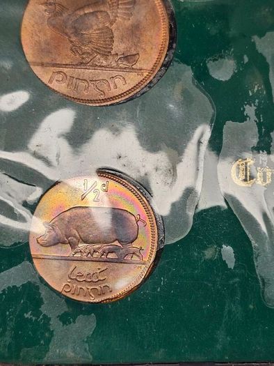 Ireland 1965 Coin Set in Plastic Holder Florin 3d 1d 1/2d