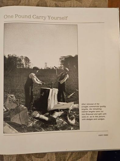 Forest Images. Fr Browne's Woodland Photographs From Emo Court Co Laois. Fabolous FIRST EDITION Large Volume Hardback In Good Condition.  See Photos For Same.