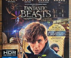 Fantastic Beasts 4K