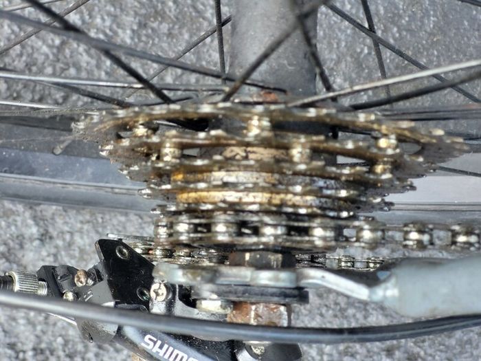 Muddyfox Bike..no Offers