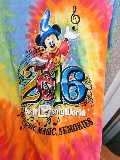 Disney Parks 2016 T Shirt Mens XL
