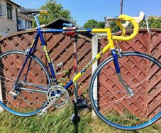Vintage Rossin Road Bike