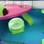 Large cage for hamster/ gerbils/ mice. Cage accessories Image 2