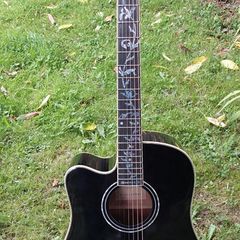 Harley Benton Acoustic