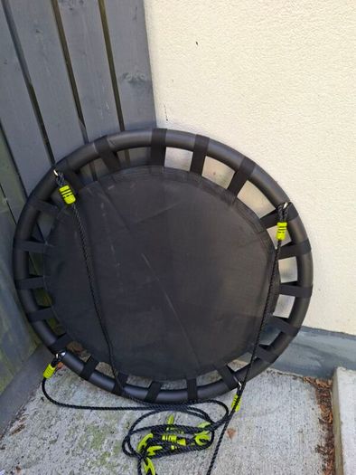 New Nest Swing