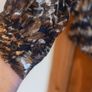 ladies top carraig donn Image 2