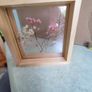 ONE FRAMED Fresh pressed real flower wall decor mounted between two panes of glass, in a WOOD FRAME. Image 6