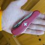 Victorinox Cheese Master 111mm Discontinued Special Edition Run Collectable Model Swiss Army Knife Image 8