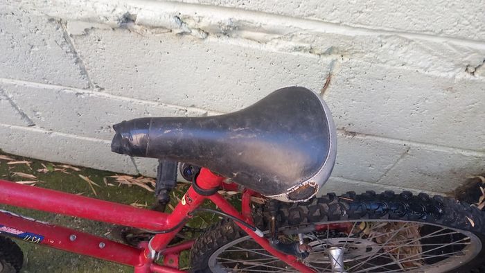 Free to take away adult bike