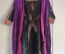 Anna Frozen fancy Dress