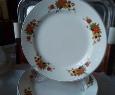 Arklow Dinner Plates