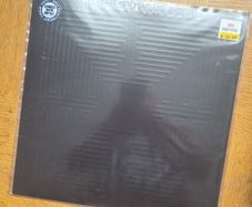 These New Puritans "Hidden" vinyl