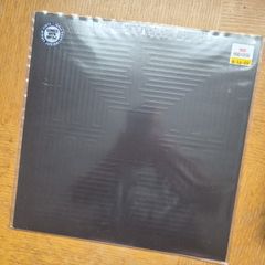 These New Puritans "Hidden" vinyl