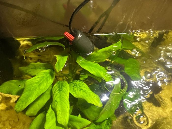 60lt fish tank with loads of extras
