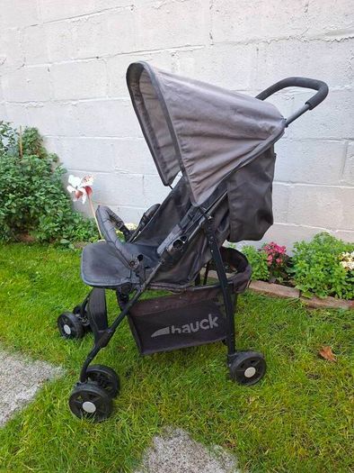Hauck Travel Buggy