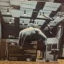 Scott Weiland 12 Bar Blues 2023 RSD Record Store Day New Stone Temple Pilots STP Image 2
