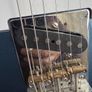 guitar pickups No caster Image 3