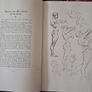art book Image 5