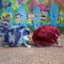 2x Zoomer Hedgiez Hedgehogs Image 6