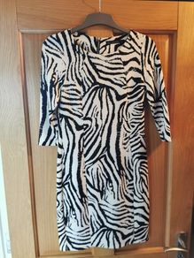 Zara Zebra Print Dress
