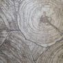 rug Image 2