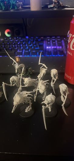 Night Haunt Spearhead